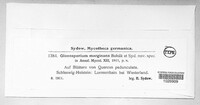 Image Associated With the Occurence